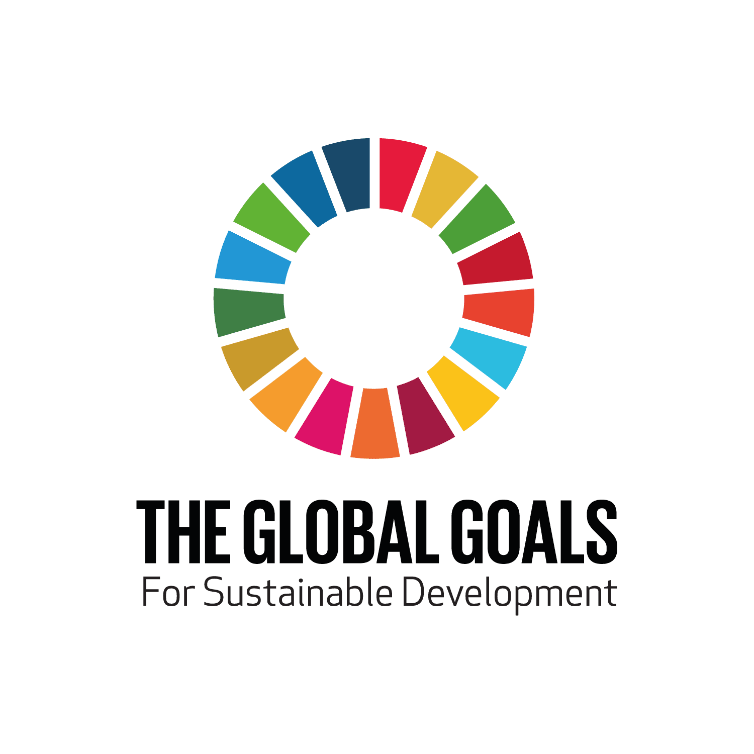 2018 Whole School STEAM Project – Global Goals