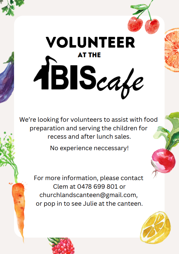 Volunteer at the IBIS cafe